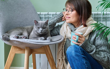 The Curious Cat: Insights and Inspiration for Cat Lovers