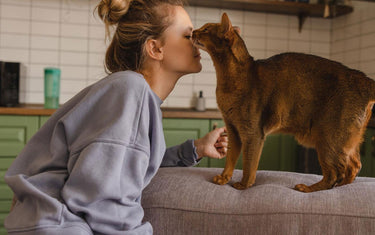 Seasonal Safety: Keeping Your Pet Safe Year-Round