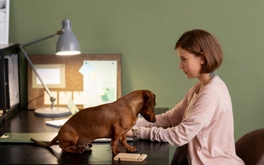 Paw-some Adventures: Exploring the World with Your Pet