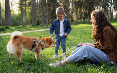 Pet Care Simplified: Expert Advice for Every Pet Owner