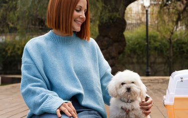 From Puppies to Seniors: Navigating the Pet Life Cycle