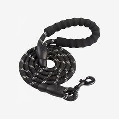 Braided Rope Dog Leash, 5-ft long